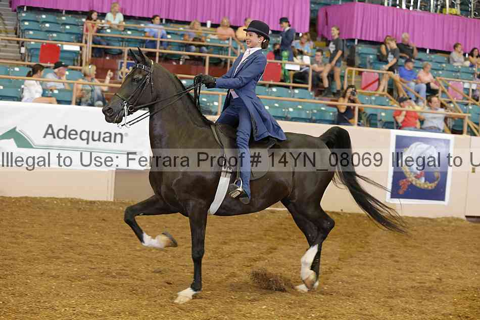 Proof 14yn_08069