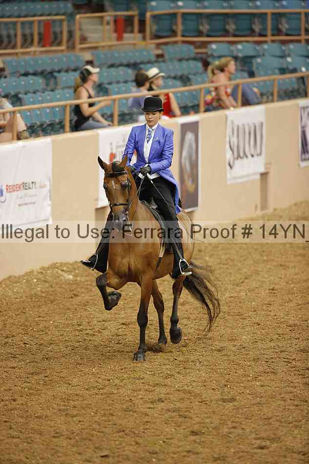 Proof 14yn_08070