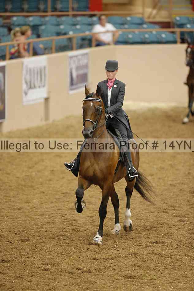 Proof 14yn_08071