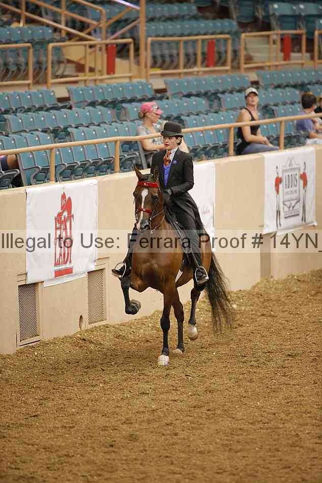 Proof 14yn_08072