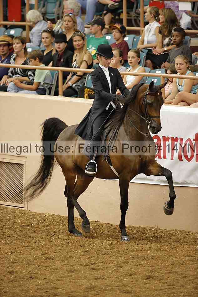 Proof 14yn_08073