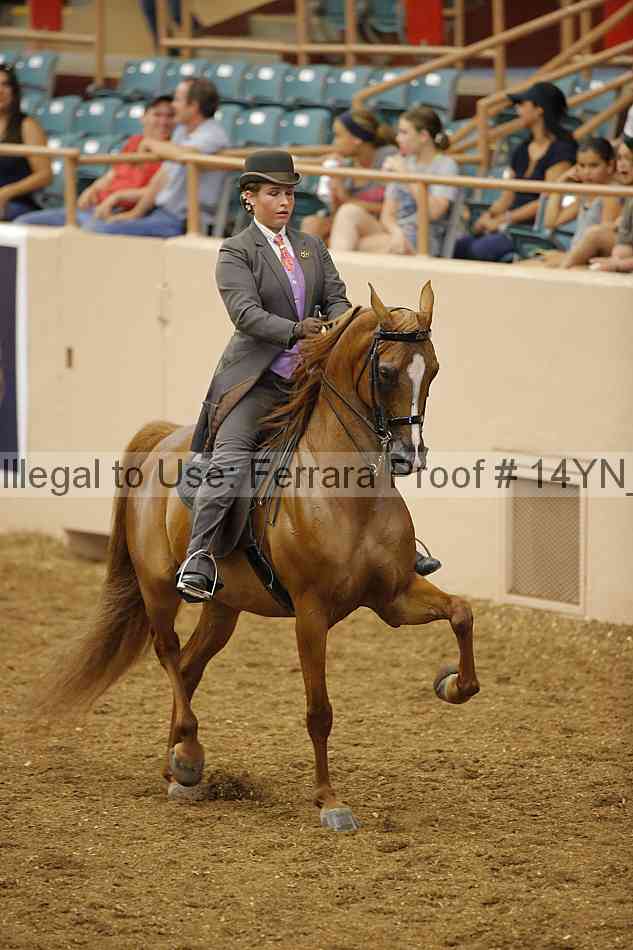 Proof 14yn_08074