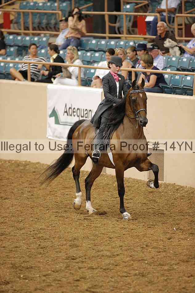 Proof 14yn_08075