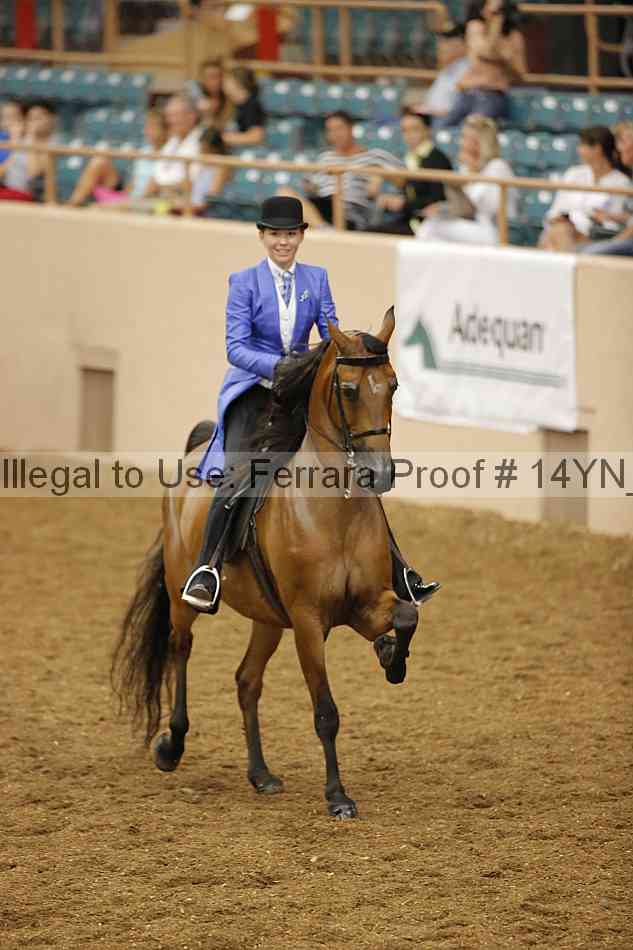 Proof 14yn_08076