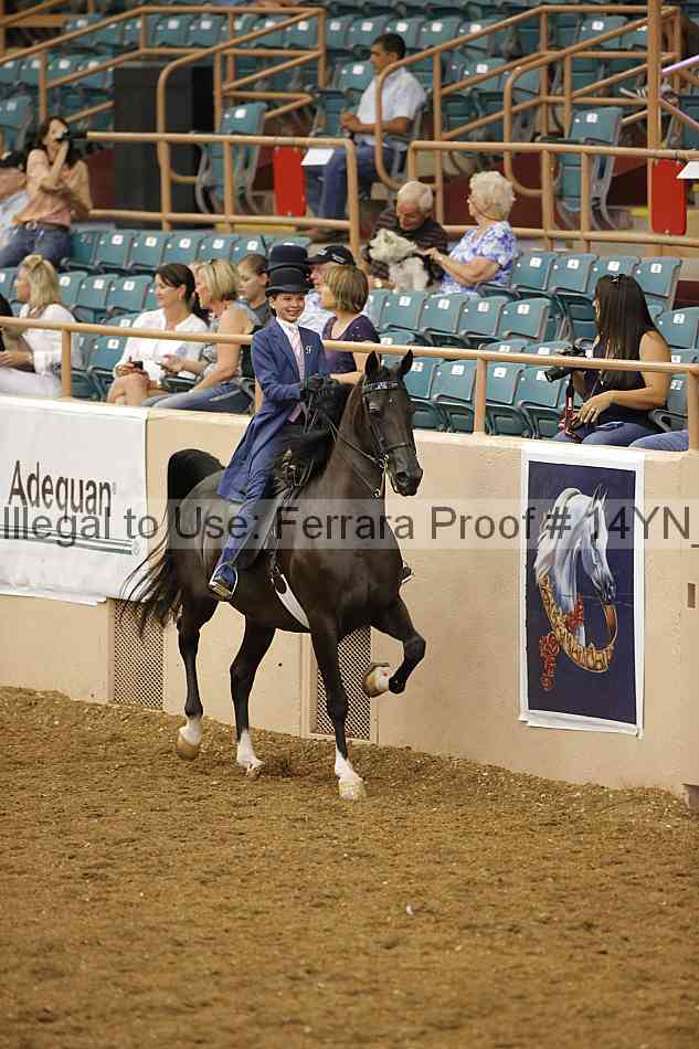Proof 14yn_08077