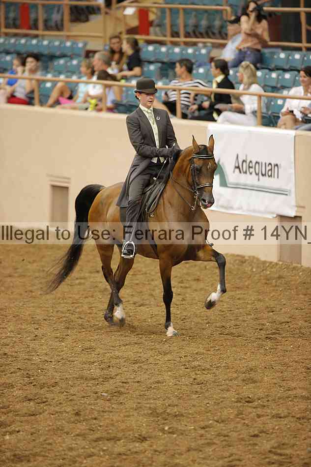 Proof 14yn_08078