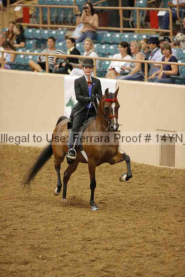 Proof 14yn_08079