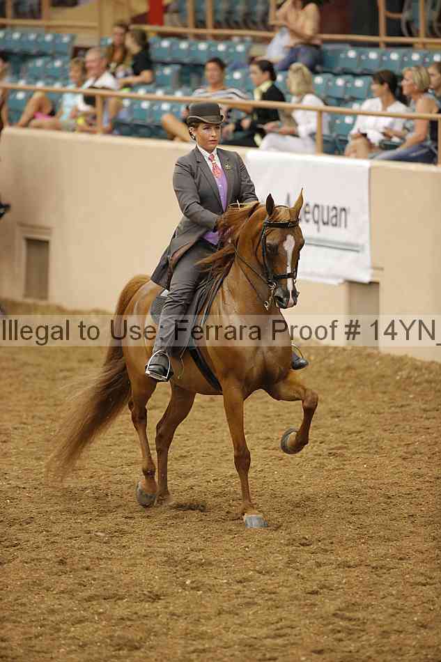 Proof 14yn_08080