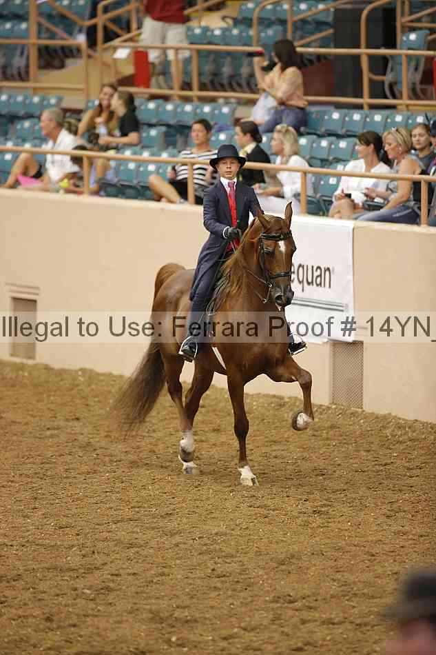 Proof 14yn_08081