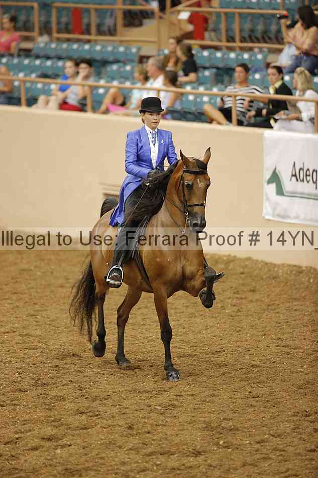 Proof 14yn_08082