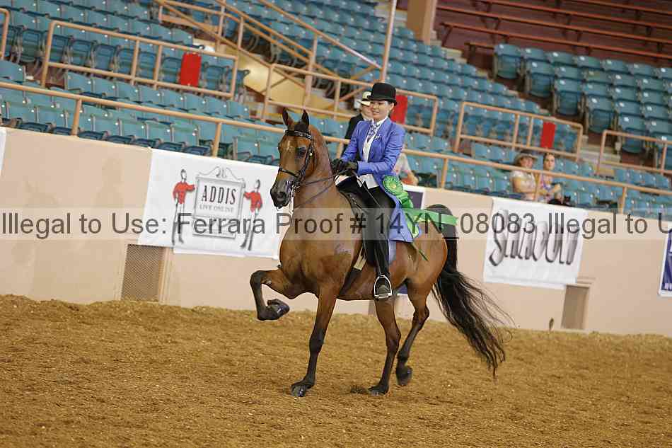 Proof 14yn_08083