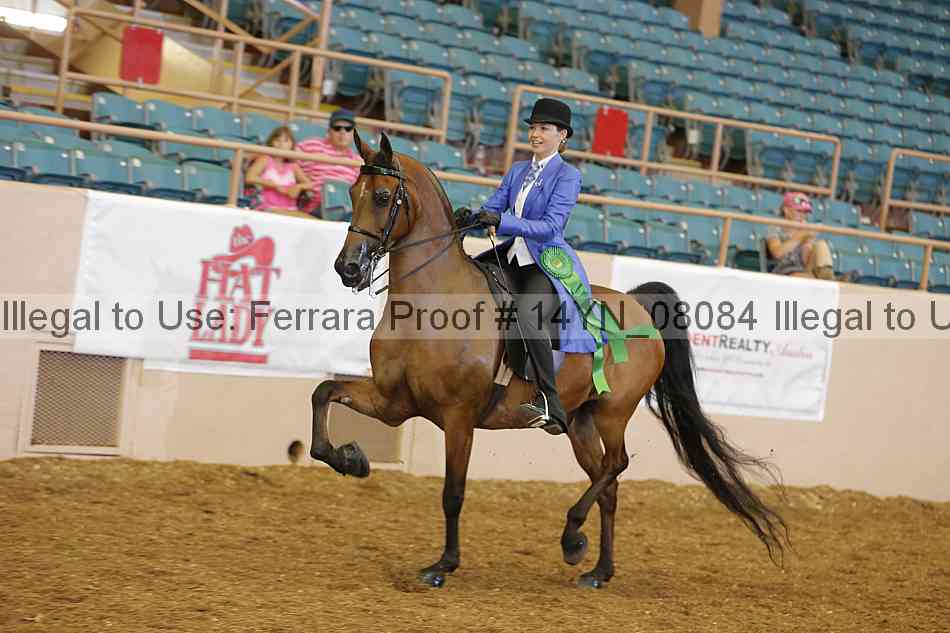 Proof 14yn_08084