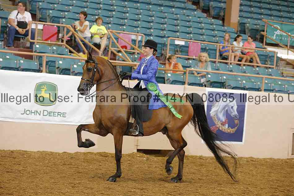 Proof 14yn_08085
