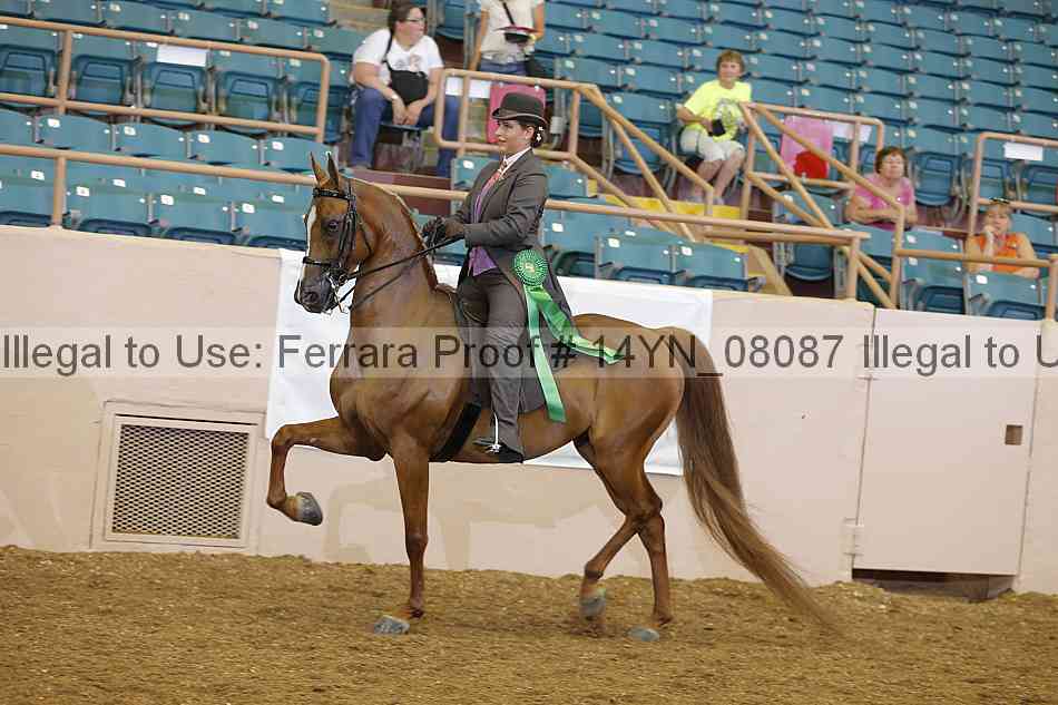 Proof 14yn_08087