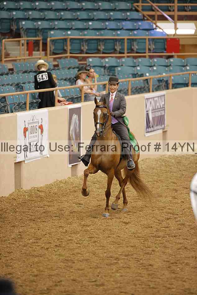 Proof 14yn_08088