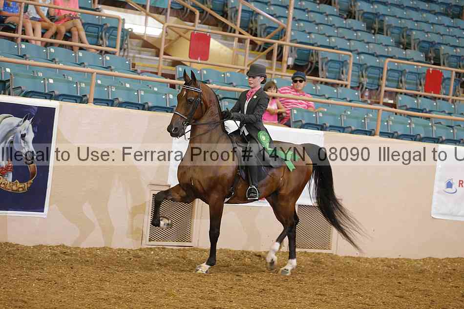 Proof 14yn_08090