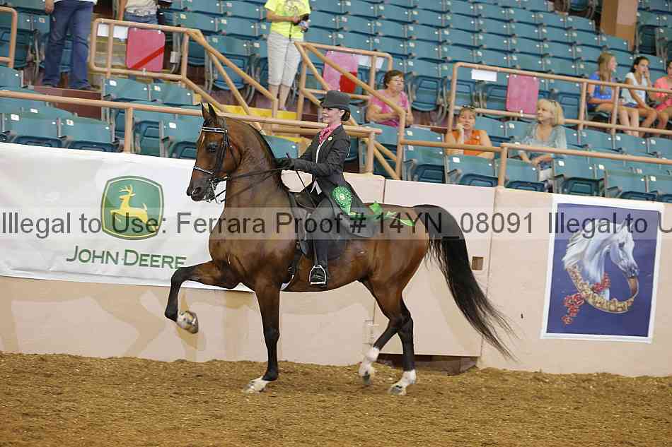 Proof 14yn_08091