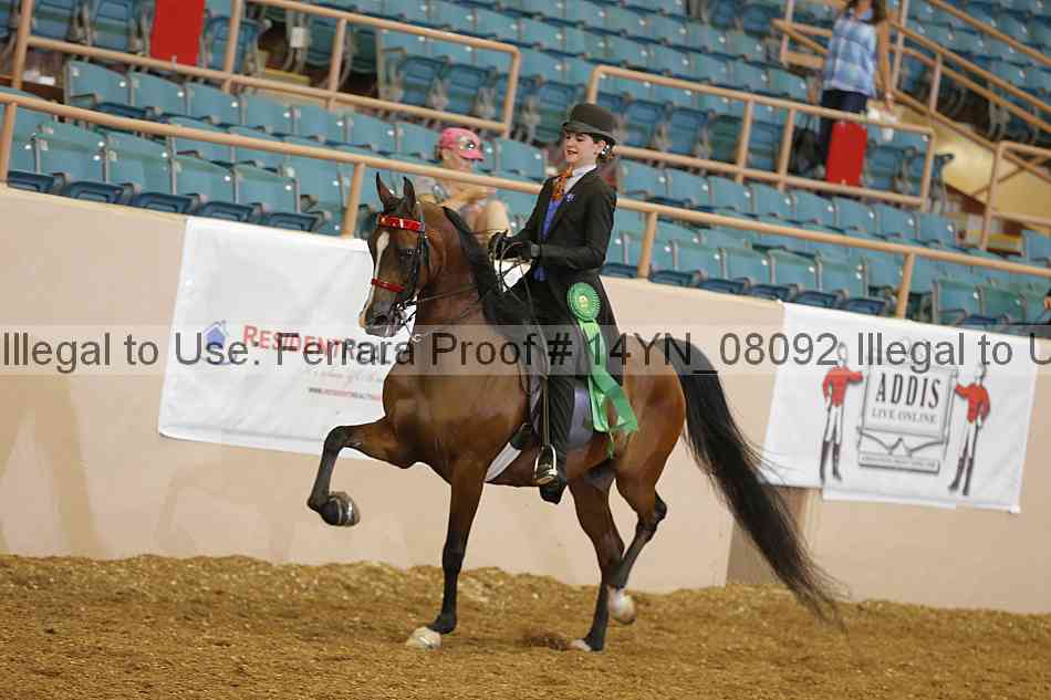Proof 14yn_08092