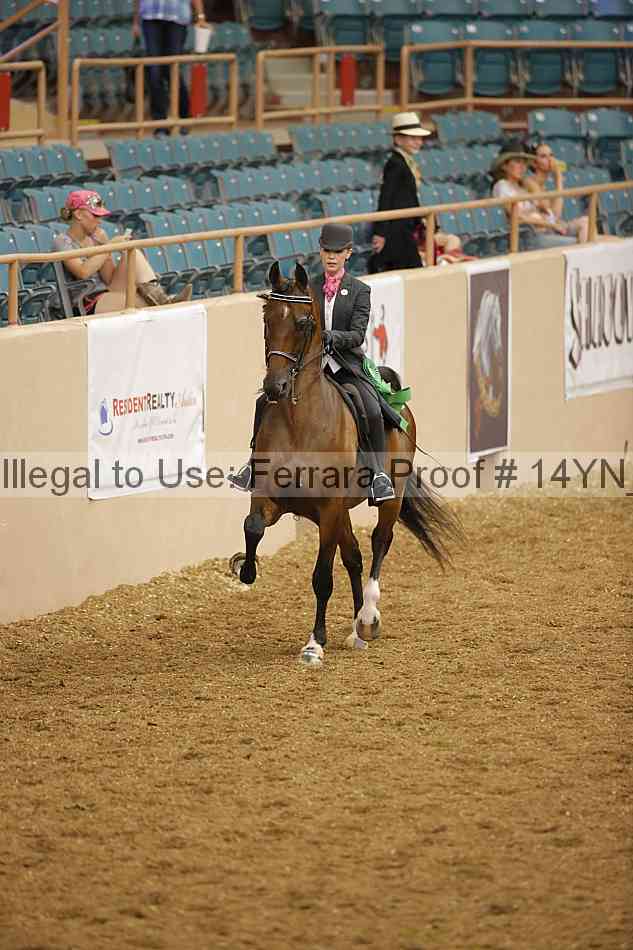 Proof 14yn_08093