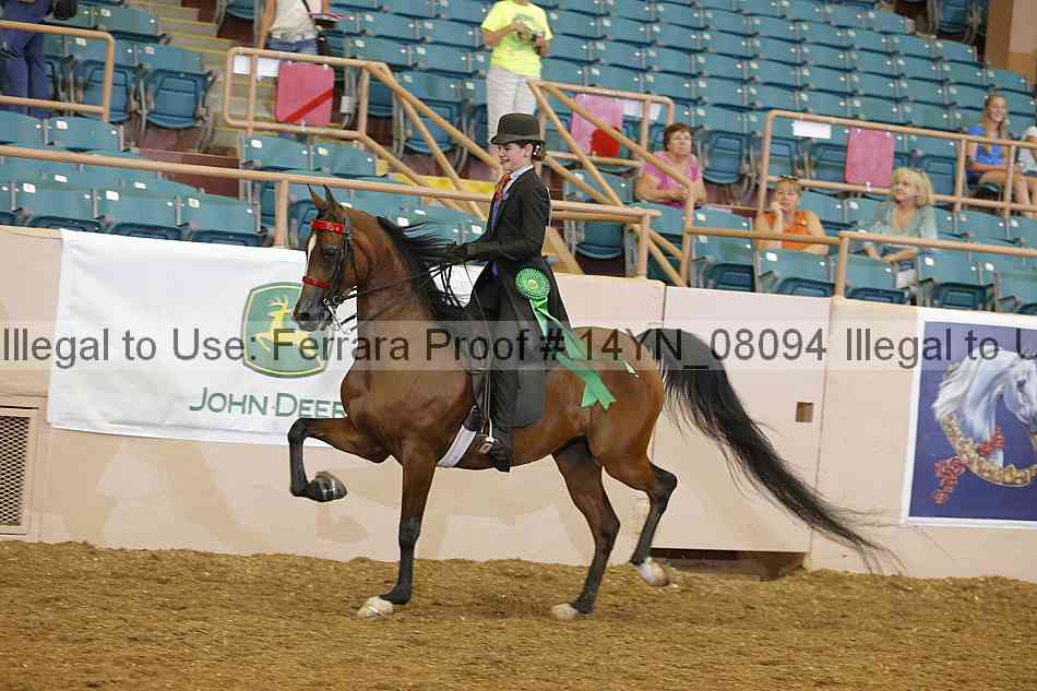 Proof 14yn_08094