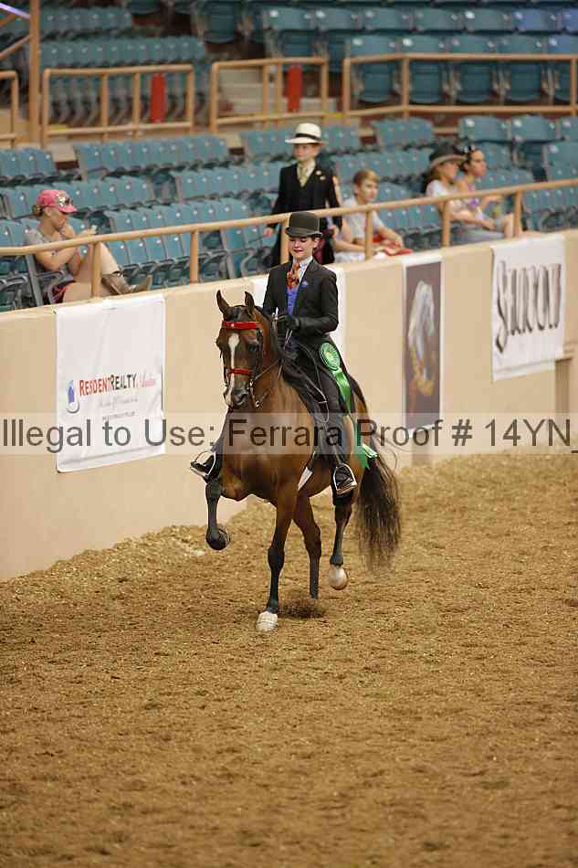 Proof 14yn_08095