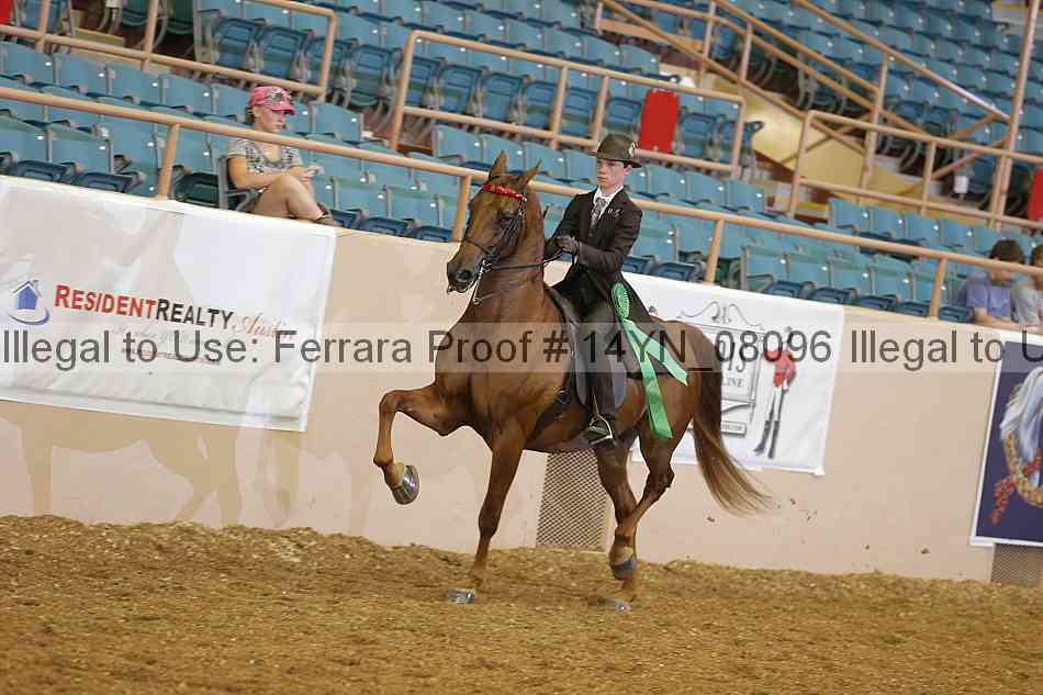 Proof 14yn_08096