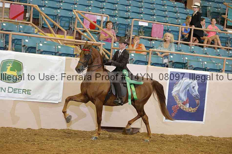 Proof 14yn_08097