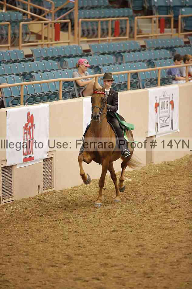 Proof 14yn_08098