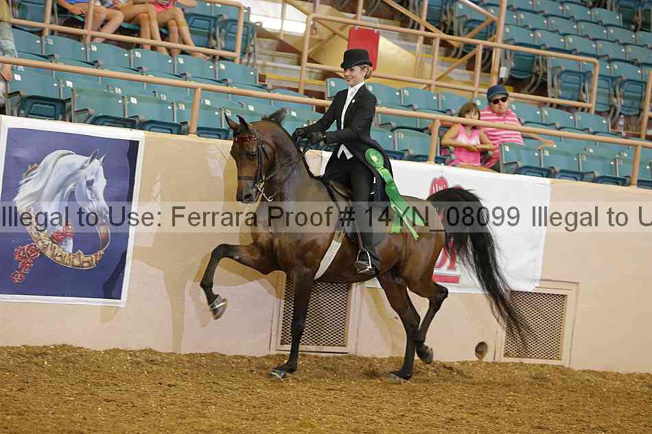 Proof 14yn_08099