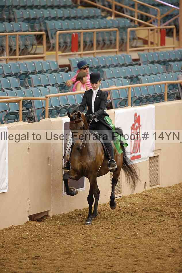 Proof 14yn_08101