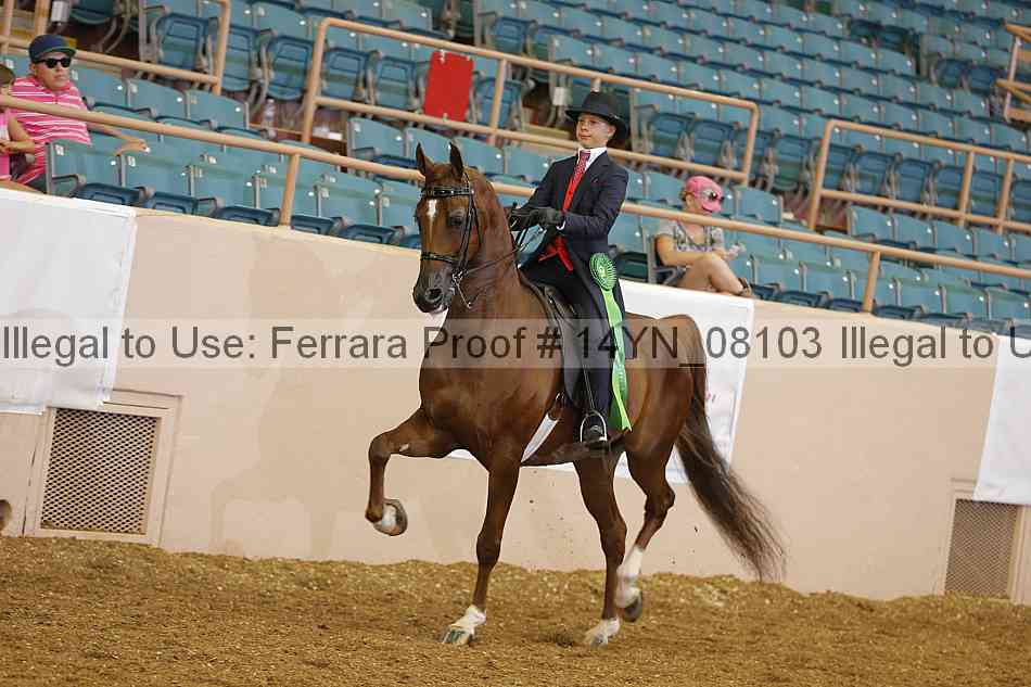 Proof 14yn_08103