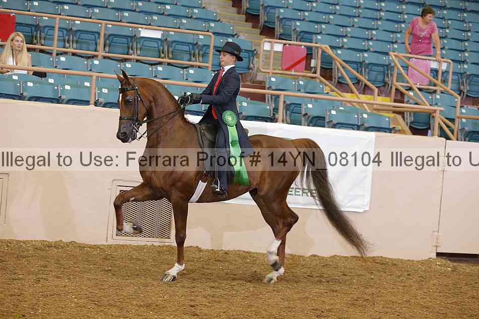 Proof 14yn_08104
