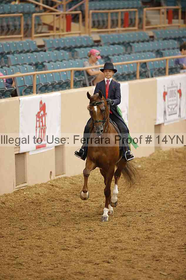 Proof 14yn_08105