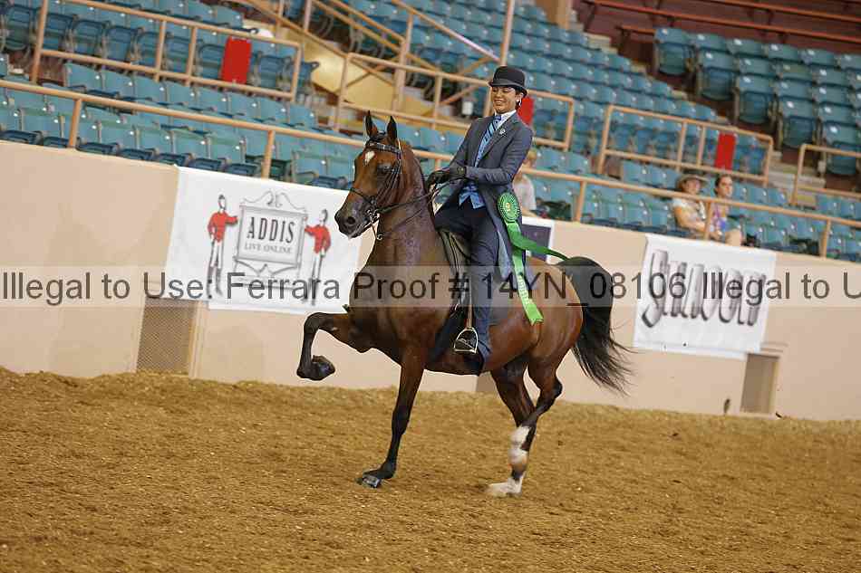 Proof 14yn_08106