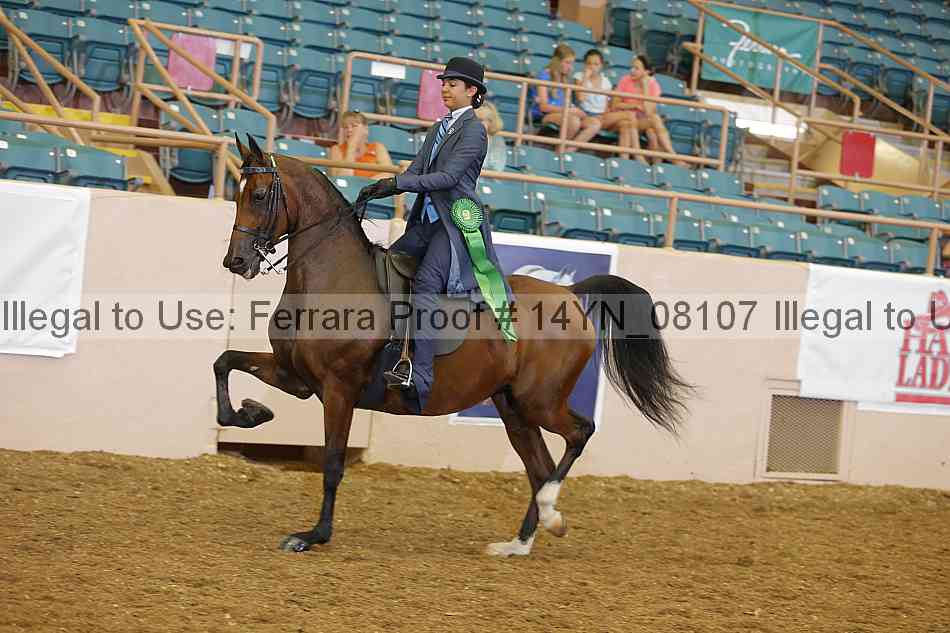 Proof 14yn_08107