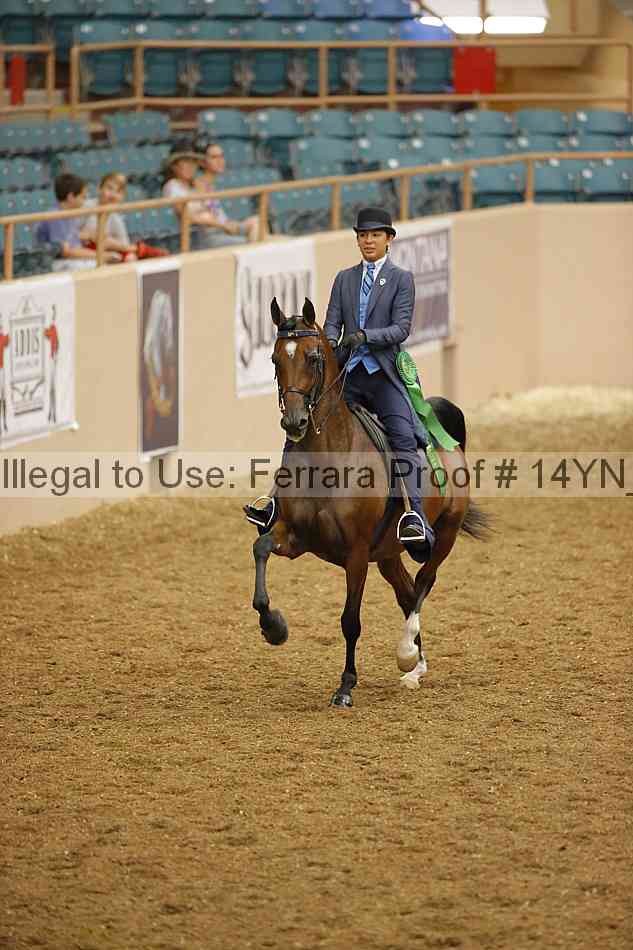 Proof 14yn_08108