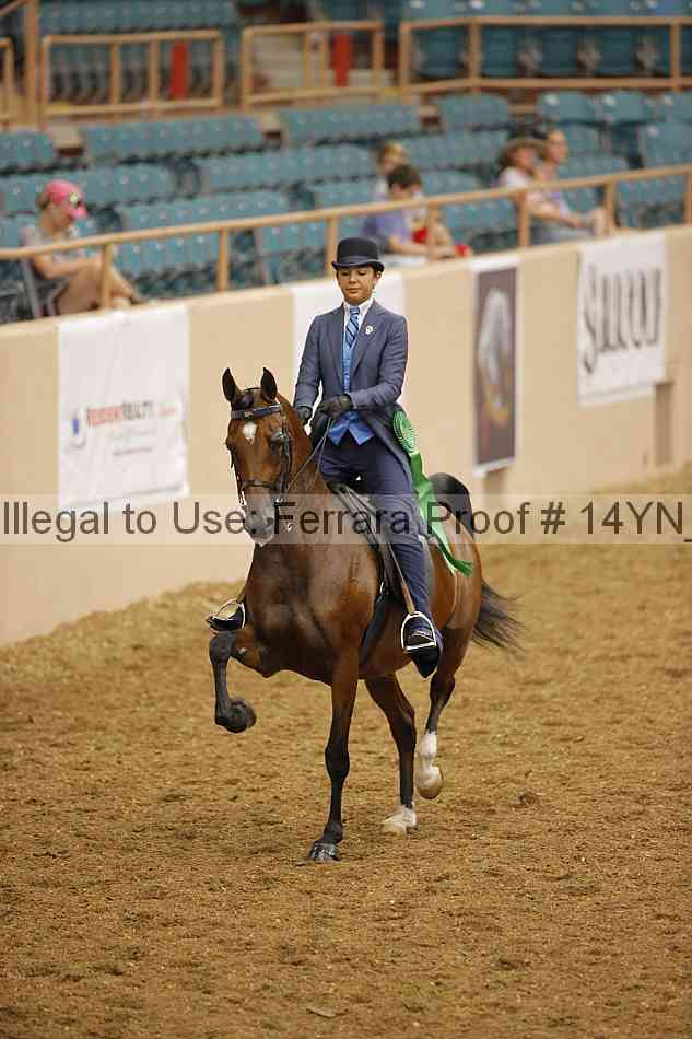 Proof 14yn_08109