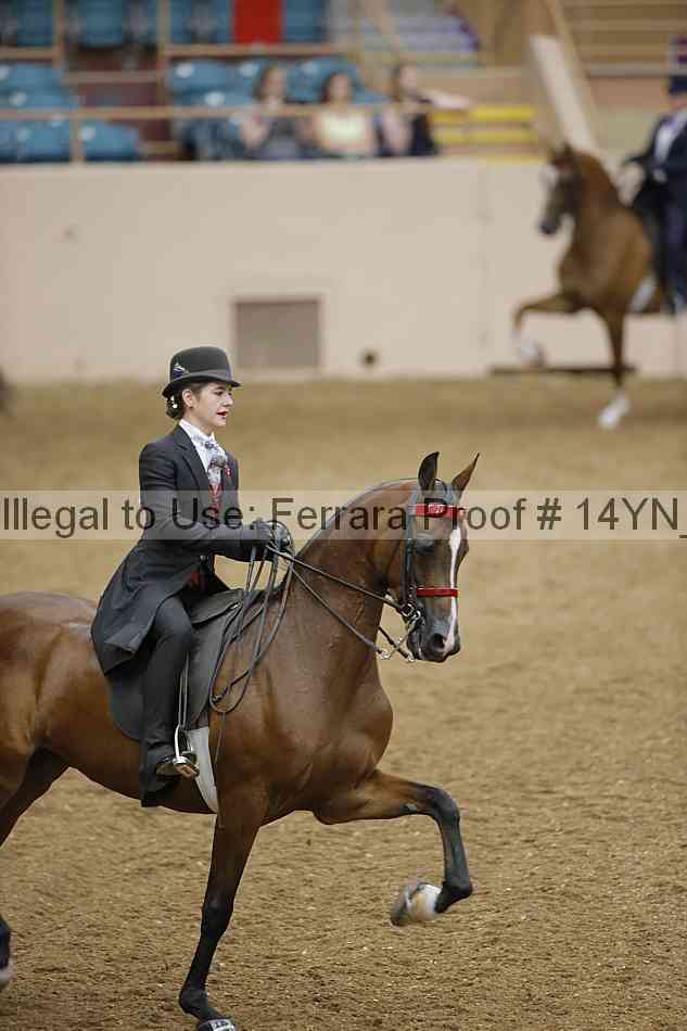 Proof 14yn_22705