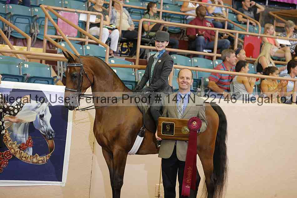 Proof 14yn_22746