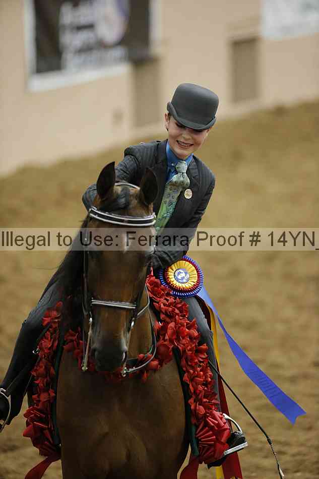 Proof 14yn_22806