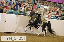 14yn_31251 proof