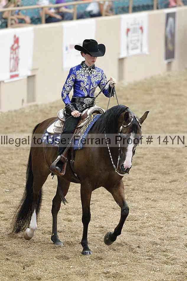 Proof 14yn_03883
