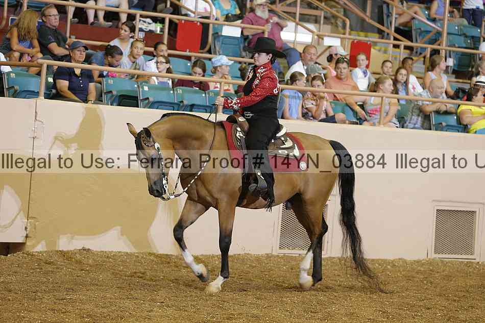 Proof 14yn_03884