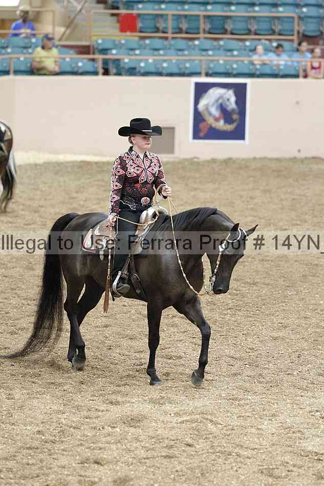 Proof 14yn_03890
