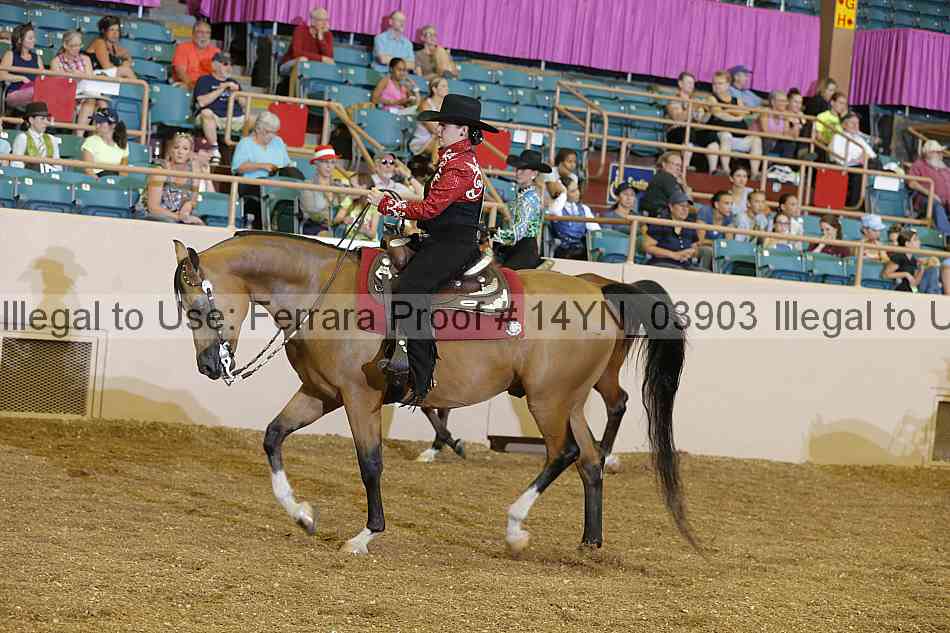 Proof 14yn_03903