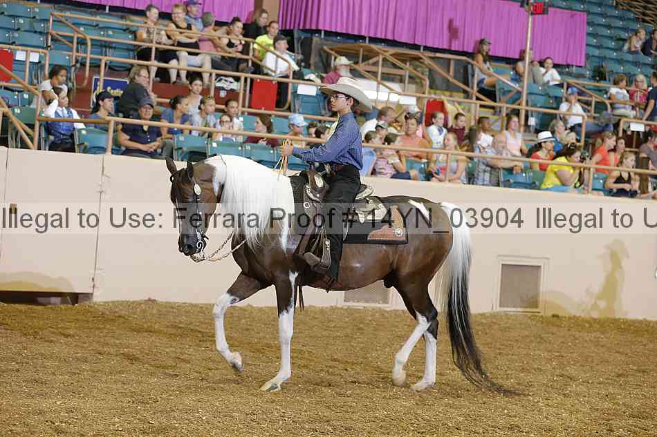 Proof 14yn_03904