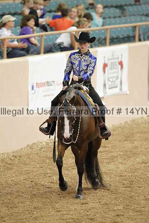 Proof 14yn_03906