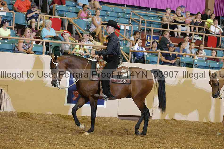 Proof 14yn_03907