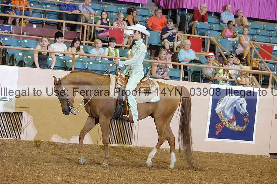 Proof 14yn_03908