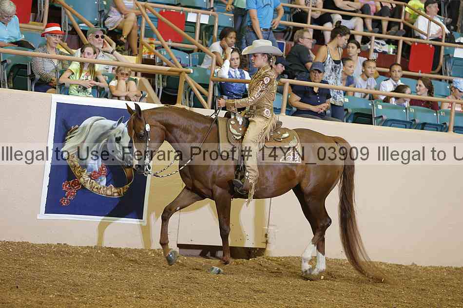 Proof 14yn_03909